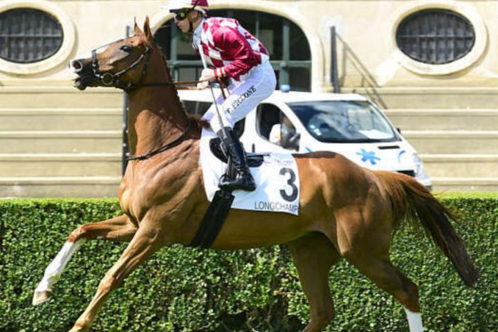 Quinté du jeudi 16 avril 2026 à Longchamp: les pronostics