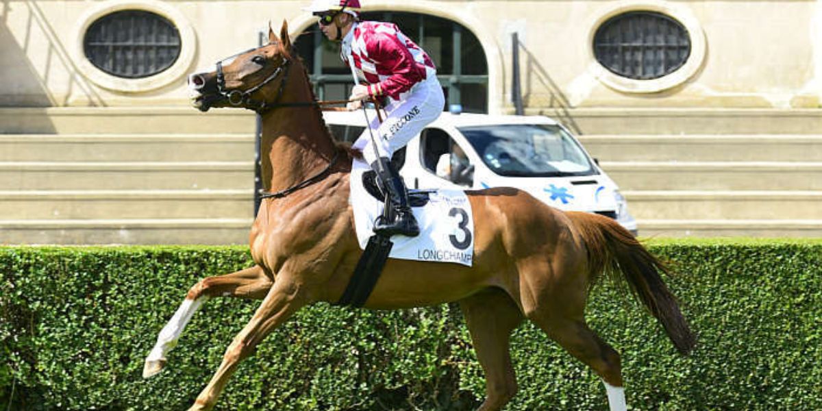 Quinté du jeudi 16 avril 2026 à Longchamp: les pronostics