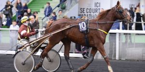 Quinté du vendredi 17 avril 2026 à Vincennes: les pronostics