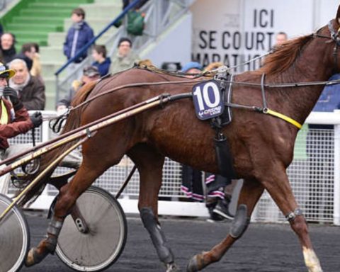 Quinté du vendredi 17 avril 2026 à Vincennes: les pronostics
