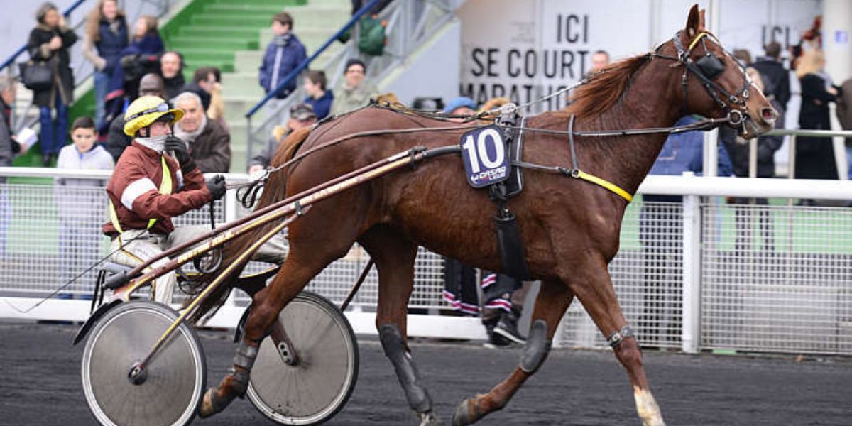 Quinté du vendredi 17 avril 2026 à Vincennes: les pronostics