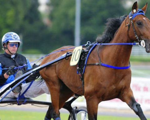 Quinté du samedi 18 avril 2026 à Enghien: les pronostics