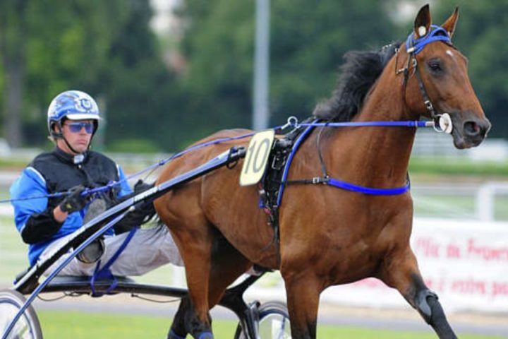 Quinté du samedi 18 avril 2026 à Enghien: les pronostics