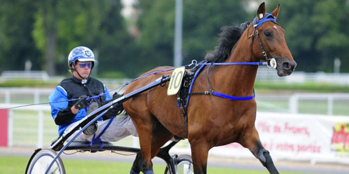 Quinté du samedi 18 avril 2026 à Enghien: les pronostics