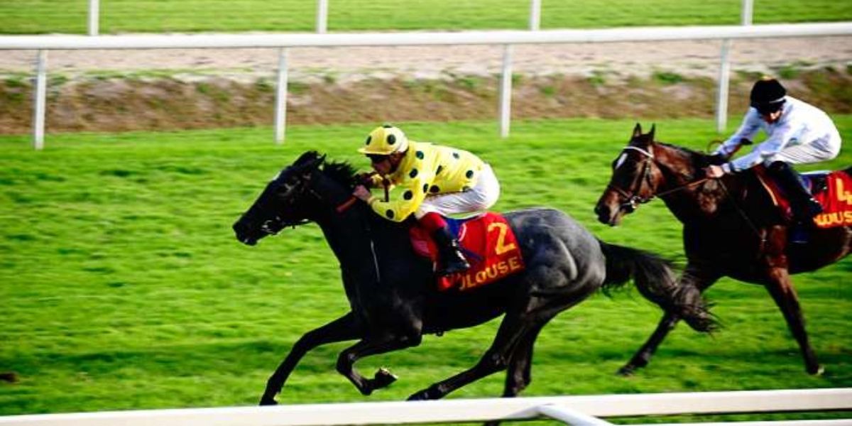 Quinté du dimanche 19 avril 2026 à Toulouse: les pronostics