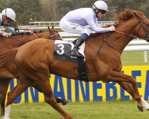 Quinté du lundi 20 avril 2026 à Fontainebleau: les pronostics