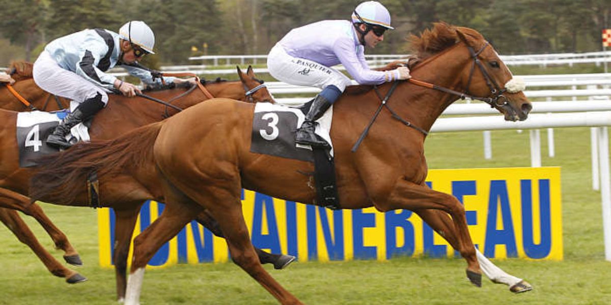 Quinté du lundi 20 avril 2026 à Fontainebleau: les pronostics