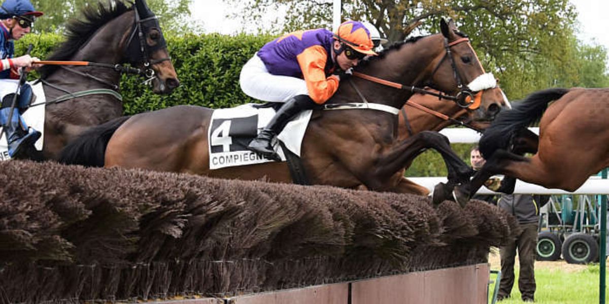 Quinté du mardi 21 avril 2026 à Compiègne: les pronostics