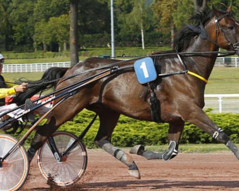 Quinté du mercredi 22 avril 2026 à Châteaubriant: les pronostics
