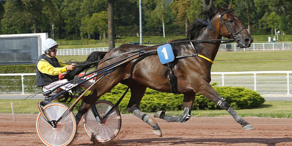Quinté du mercredi 22 avril 2026 à Châteaubriant: les pronostics