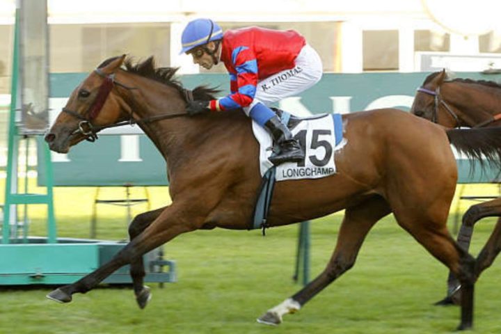 Quinté du jeudi 23 avril 2026 à Longchamp: les pronostics