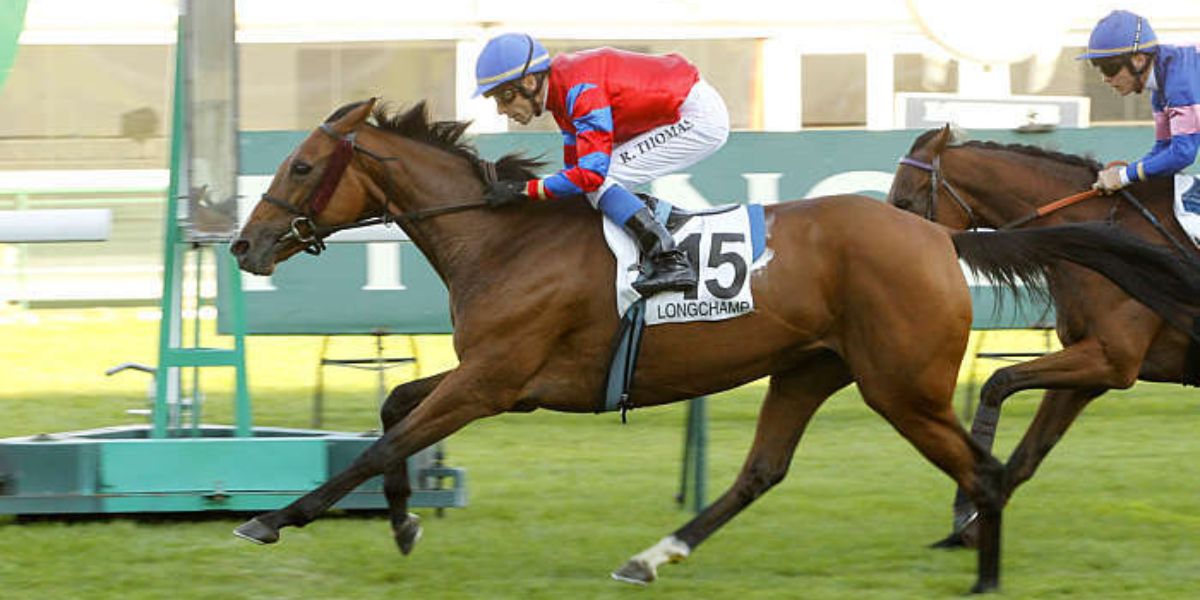 Quinté du jeudi 23 avril 2026 à Longchamp: les pronostics
