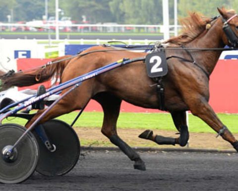 Quinté du vendredi 24 avril 2026 à Vincennes: les pronostics