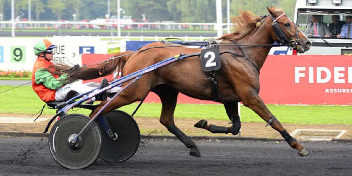 Quinté du vendredi 24 avril 2026 à Vincennes: les pronostics