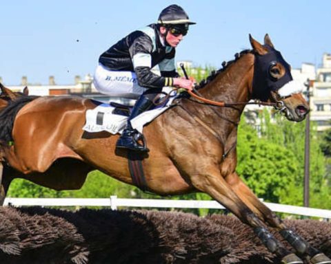 Quinté du samedi 25 avril 2026 à Auteuil: les pronostics
