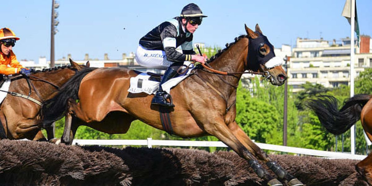 Quinté du samedi 25 avril 2026 à Auteuil: les pronostics
