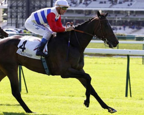 Quinté du dimanche 26 avril 2026 à Longchamp: les pronostics