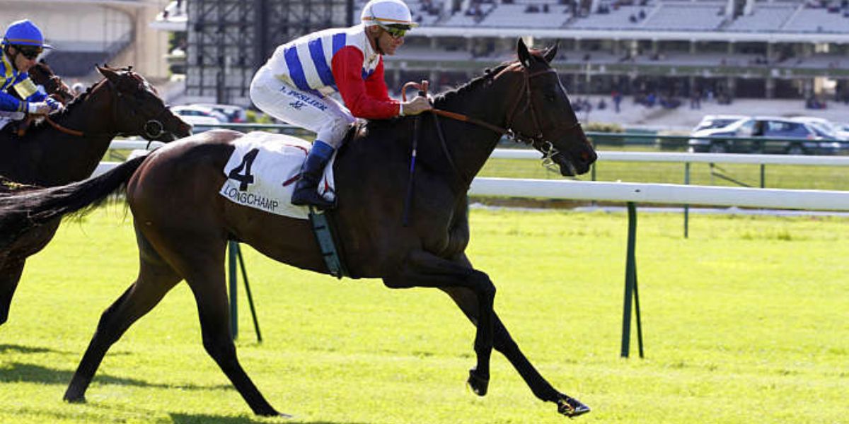 Quinté du dimanche 26 avril 2026 à Longchamp: les pronostics