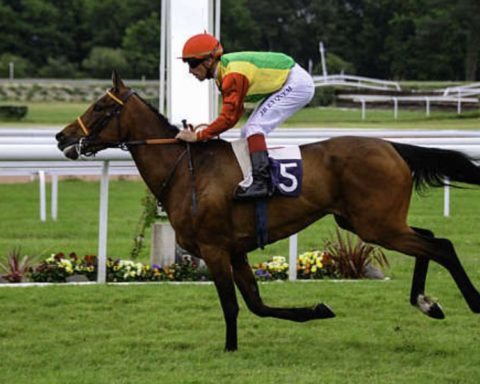 Quinté du lundi 27 avril 2026 à Bordeaux: les pronostics