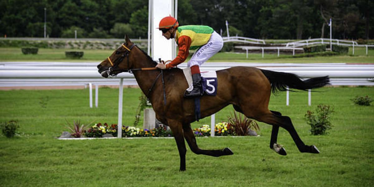 Quinté du lundi 27 avril 2026 à Bordeaux: les pronostics