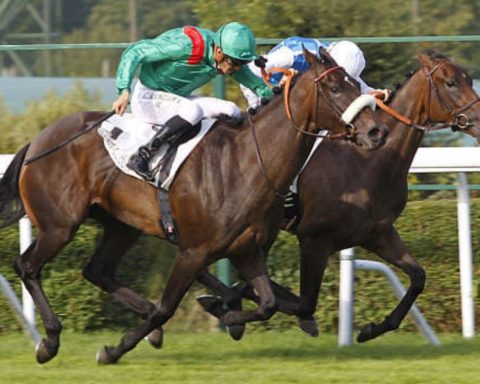 Quinté du mardi 2 juin 2026 à Saint-Cloud: les pronostics
