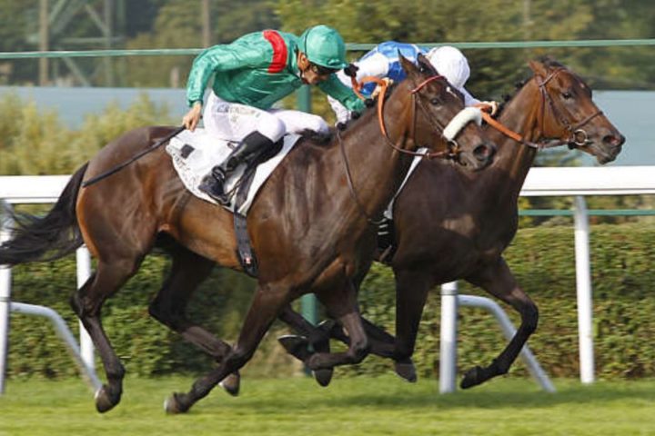 Quinté du mardi 2 juin 2026 à Saint-Cloud: les pronostics