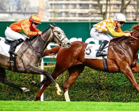 Quinté du mardi 5 mai 2026 à Saint-Cloud: les pronostics