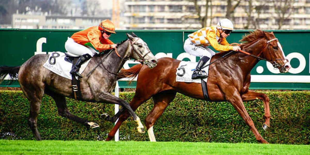 Quinté du mardi 5 mai 2026 à Saint-Cloud: les pronostics