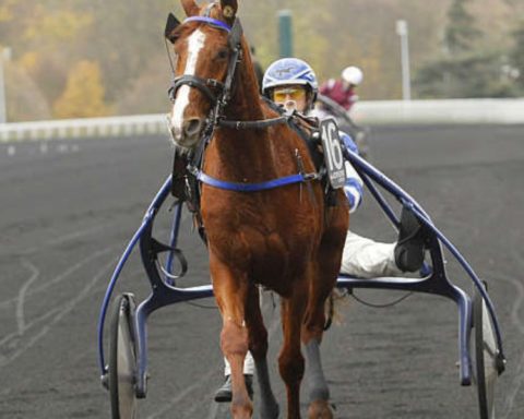 Quinté du mercredi 6 mai 2026 à Vincennes: les pronostics