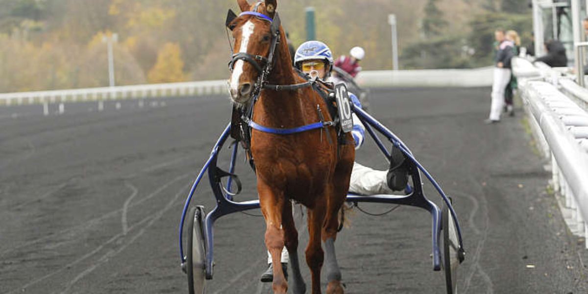 Quinté du mercredi 6 mai 2026 à Vincennes: les pronostics