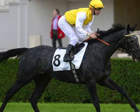 Quinté du jeudi 7 mai 2026 à Longchamp: les pronostics