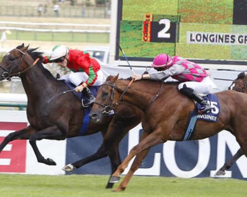 Quinté du dimanche 10 mai 2026 à Longchamp: les pronostics