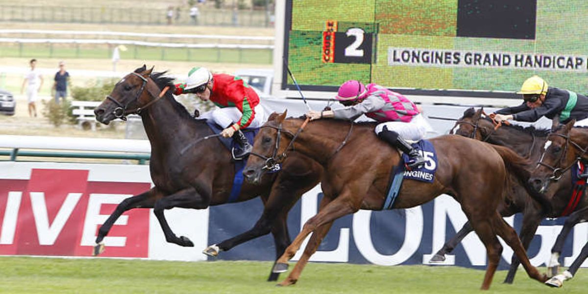 Quinté du dimanche 10 mai 2026 à Longchamp: les pronostics