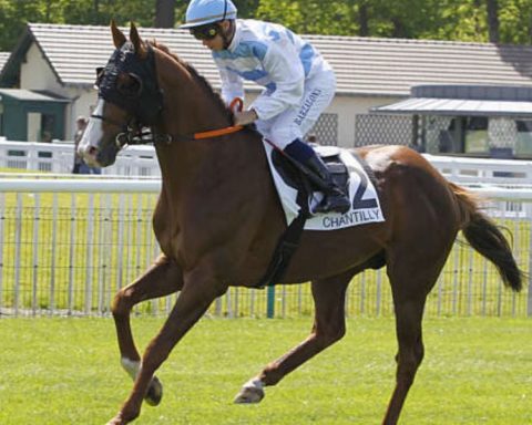 Quinté du mardi 12 mai 2026 à Chantilly: les pronostics