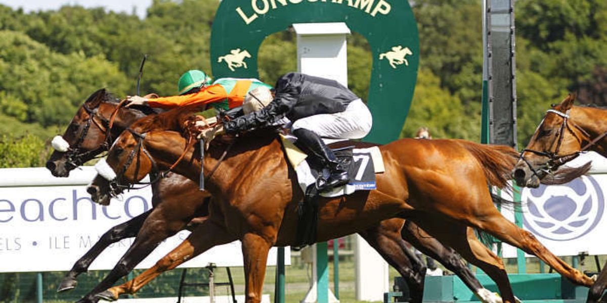 Quinté du jeudi 14 mai 2026 à Longchamp: les pronostics