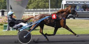 Quinté du vendredi 15 mai 2026 à Vincennes: les pronostics