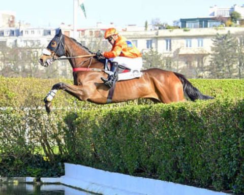 Quinté du samedi 16 mai 2026 à Auteuil: les pronostics