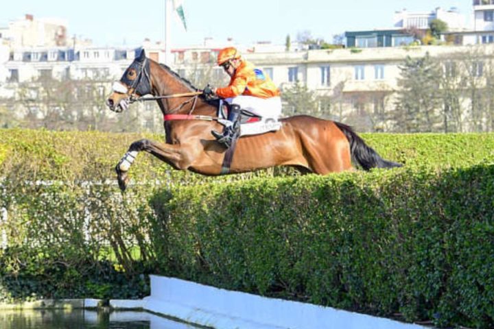 Quinté du samedi 16 mai 2026 à Auteuil: les pronostics
