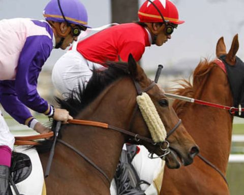 Quinté du mardi 19 mai 2026 à Chantilly: les pronostics