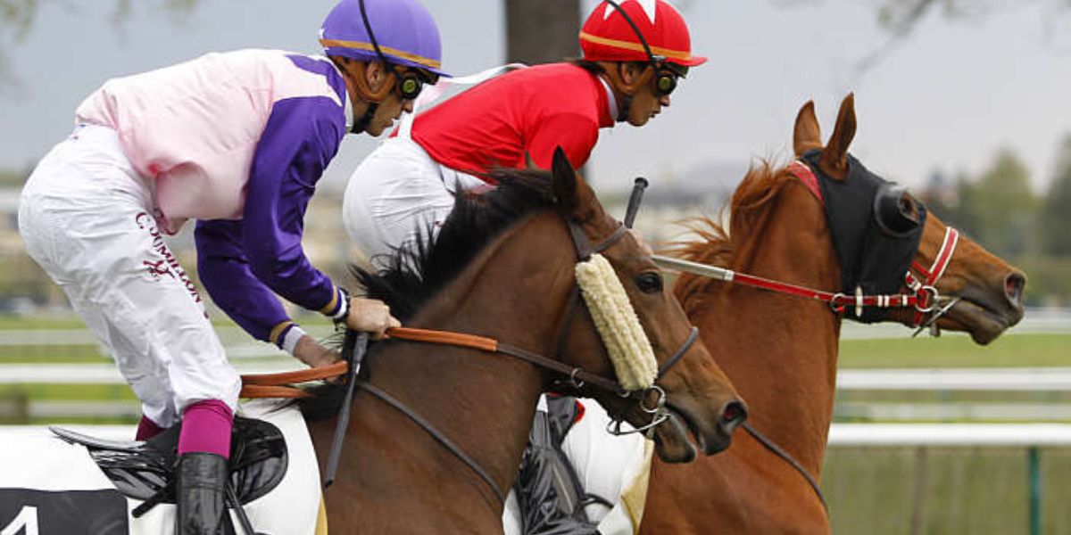 Quinté du mardi 19 mai 2026 à Chantilly: les pronostics