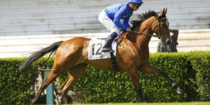 Quinté du jeudi 21 mai 2026 à Longchamp: les pronostics