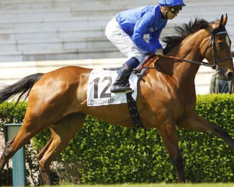 Quinté du jeudi 21 mai 2026 à Longchamp: les pronostics