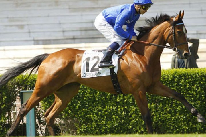 Quinté du jeudi 21 mai 2026 à Longchamp: les pronostics