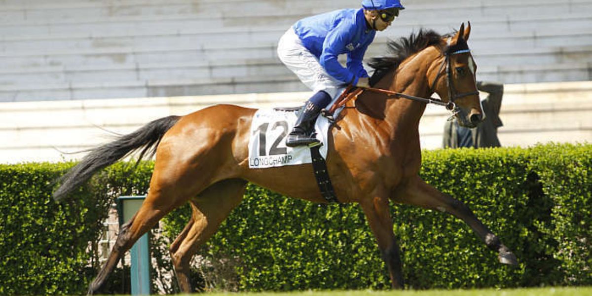Quinté du jeudi 21 mai 2026 à Longchamp: les pronostics