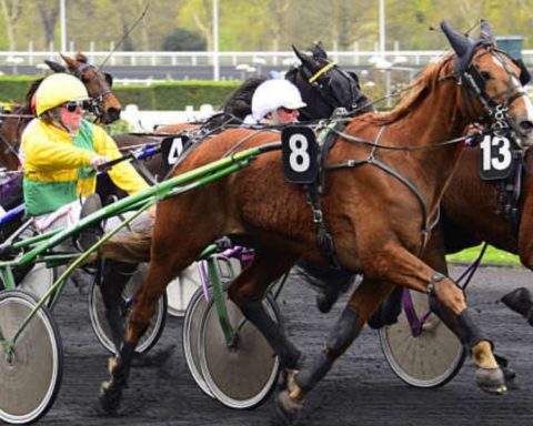 Quinté du vendredi 22 mai 2026 à Vincennes: les pronostics