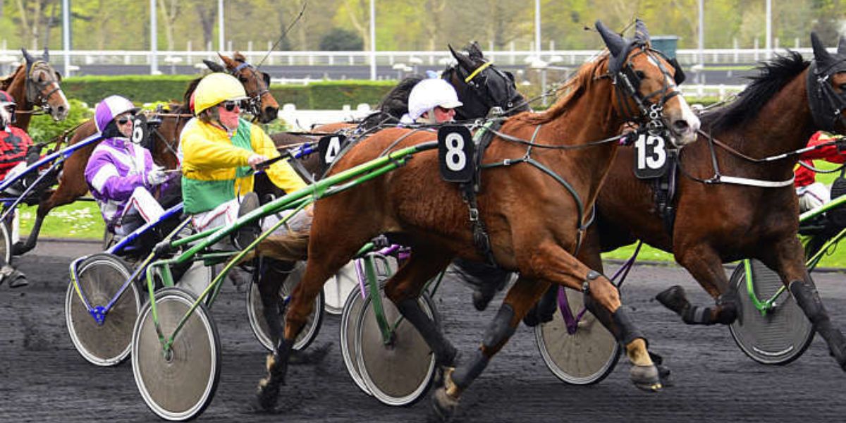 Quinté du vendredi 22 mai 2026 à Vincennes: les pronostics