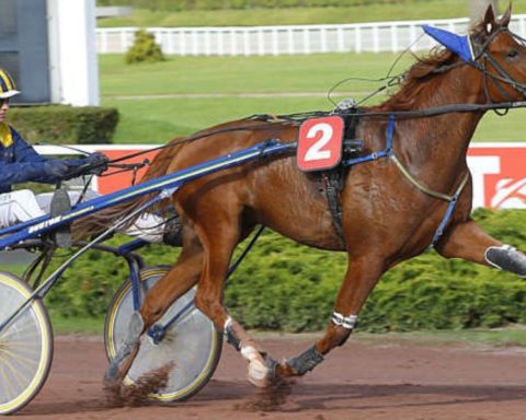 Quinté du samedi 23 mai 2026 à Enghien: les pronostics