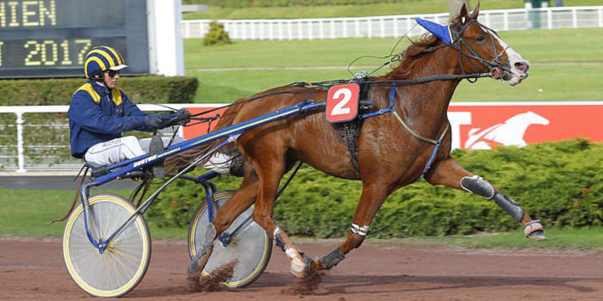 Quinté du samedi 23 mai 2026 à Enghien: les pronostics