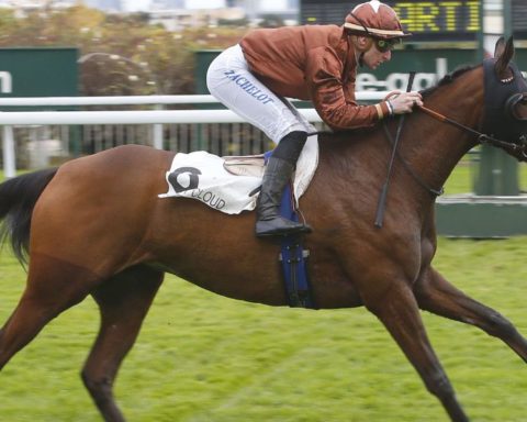 Quinté du dimanche 24 mai 2026 à Longchamp: les pronostics