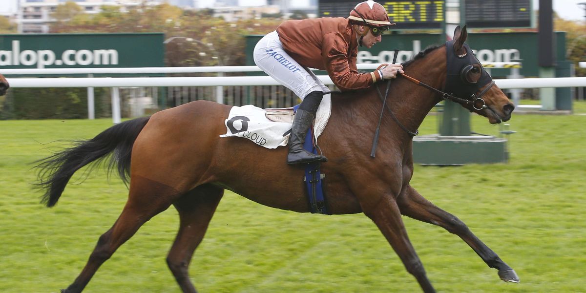 Quinté du dimanche 24 mai 2026 à Longchamp: les pronostics